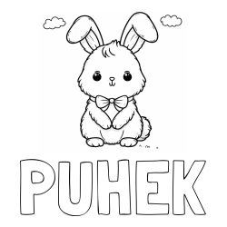 Online izdelana pobarvanka - Pobarvanka imena PUHEK in pobarvanka prikupnega zajčka