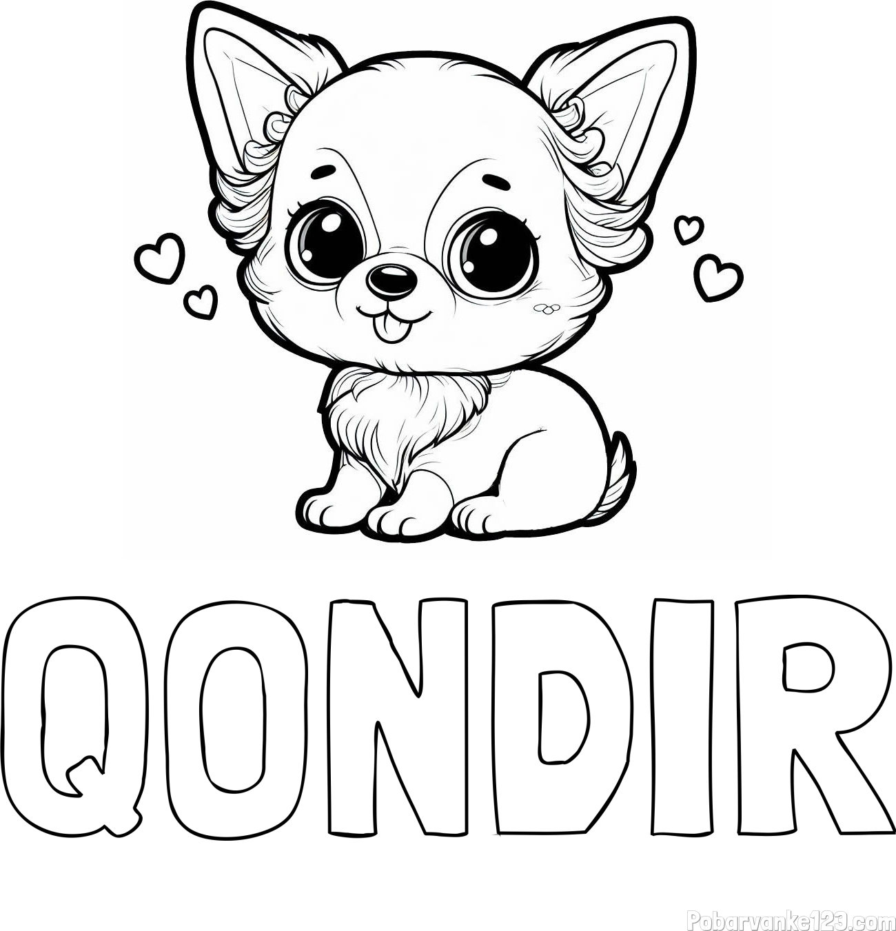 Pobarvanka imena QONDIR in pobarvanka čivave