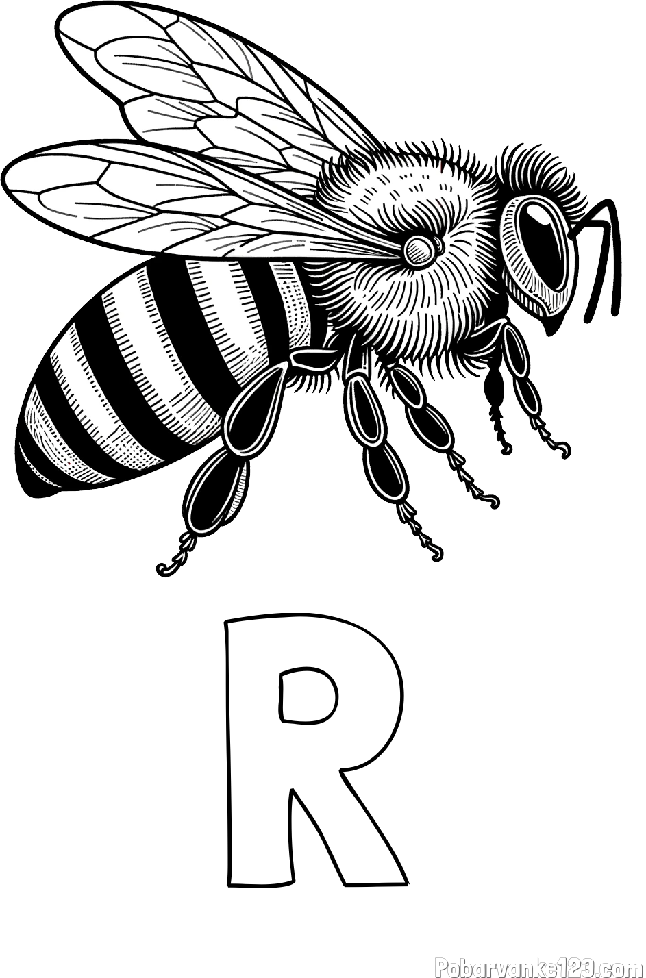 Pobarvanka imena R in pobarvanka realistične čebele