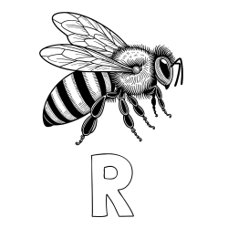 Online izdelana pobarvanka - Pobarvanka imena R in pobarvanka realistične čebele