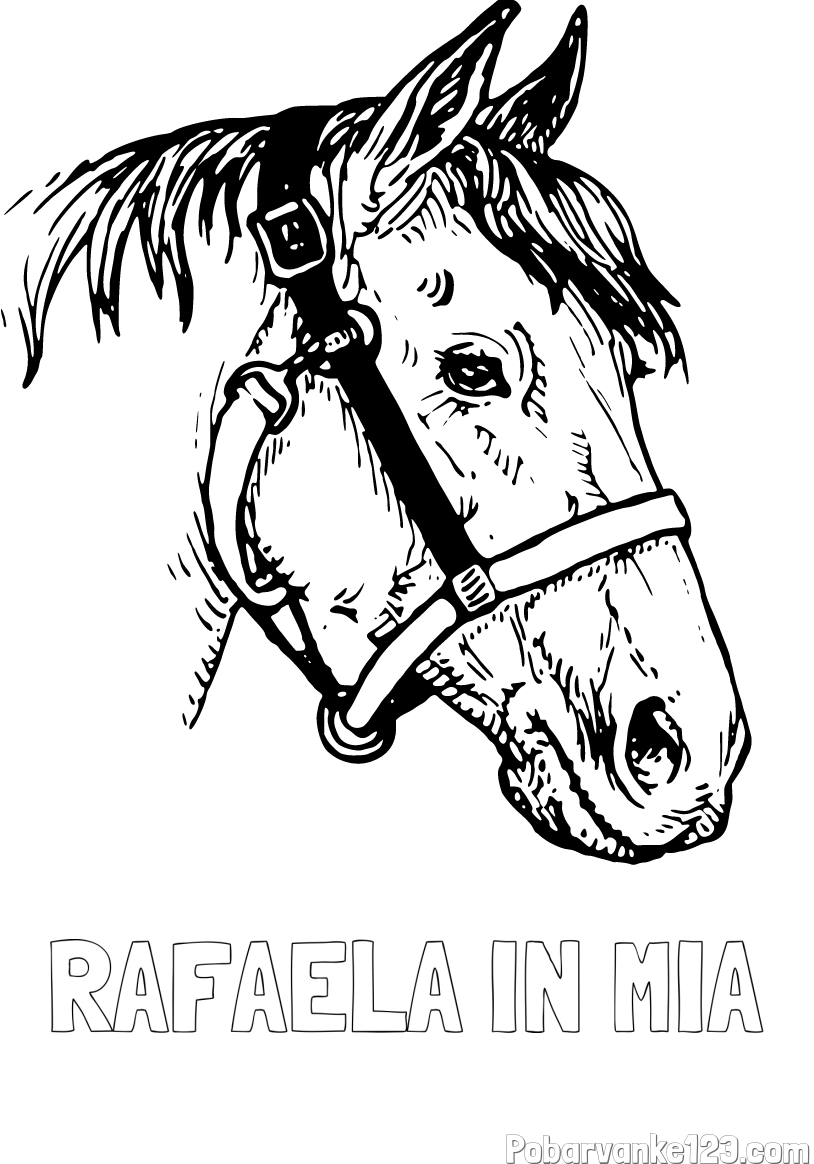 Pobarvanka imena RAFAELA IN MIA in konjska glava