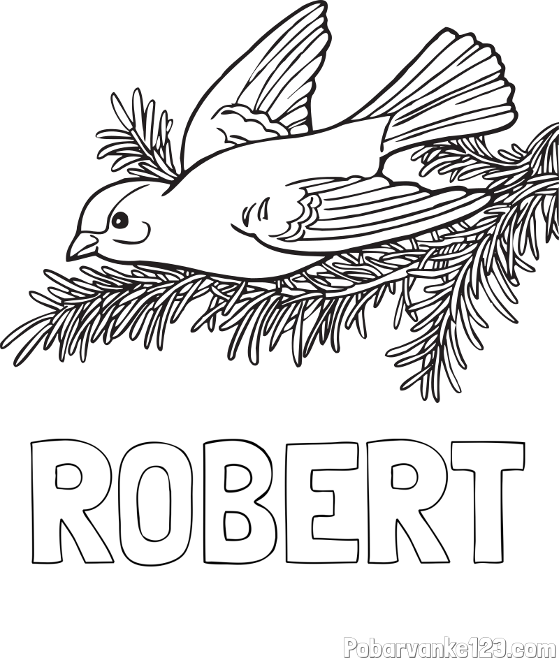 Pobarvanka imena ROBERT in pobarvanka ptice na vejici