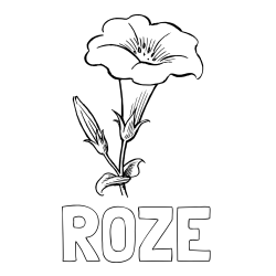 Online izdelana pobarvanka - Pobarvanka imena ROŽE in pobarvanka rože Gamopetalous