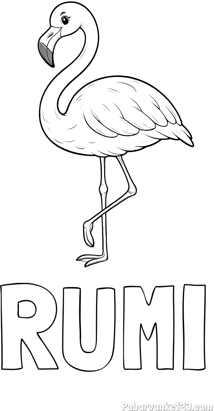 Pobarvanka imena RUMI in pobarvanka flaminga