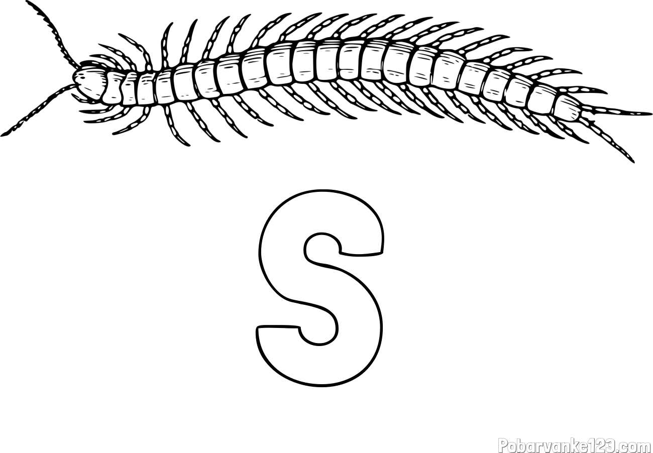 Pobarvanka imena S in pobarvanka stonoge