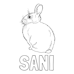 Online izdelana pobarvanka - Pobarvanka imena SANI in pobarvanka debelega zajca