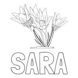 Pobarvanka imena SARA