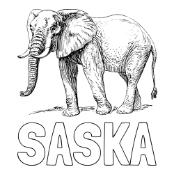 Online izdelana pobarvanka - Pobarvanka imena SAŠKA in pobarvanka mogočnega slona