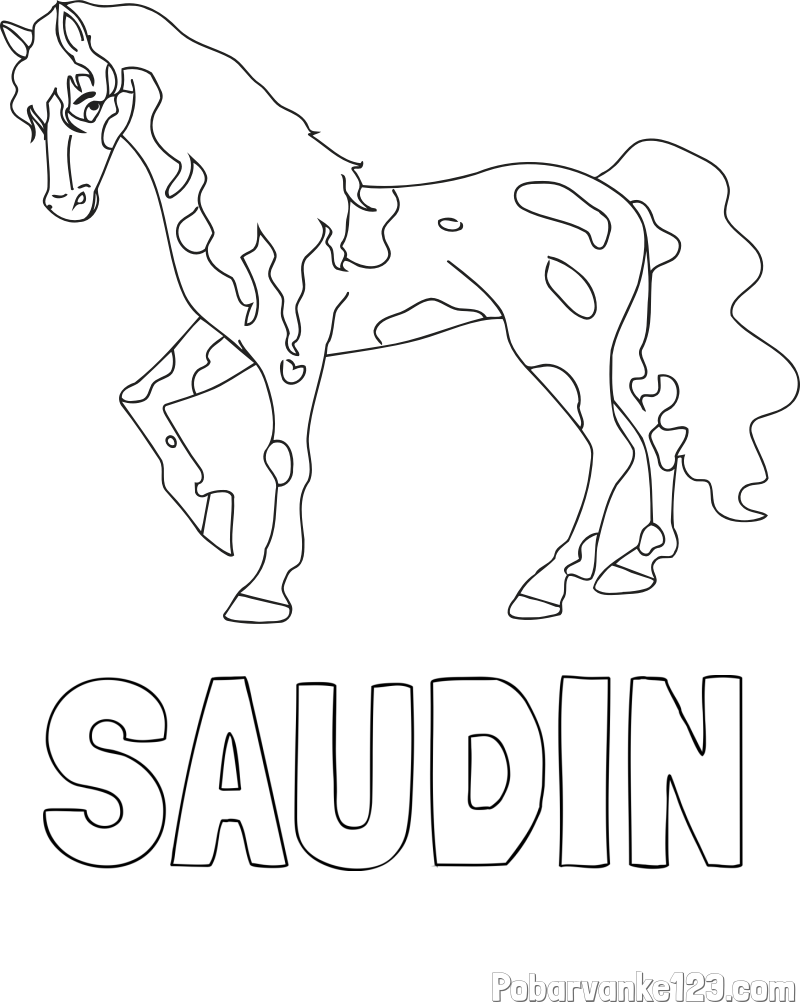 Pobarvanka imena SAUDIN in pobarvanka lisastega konja