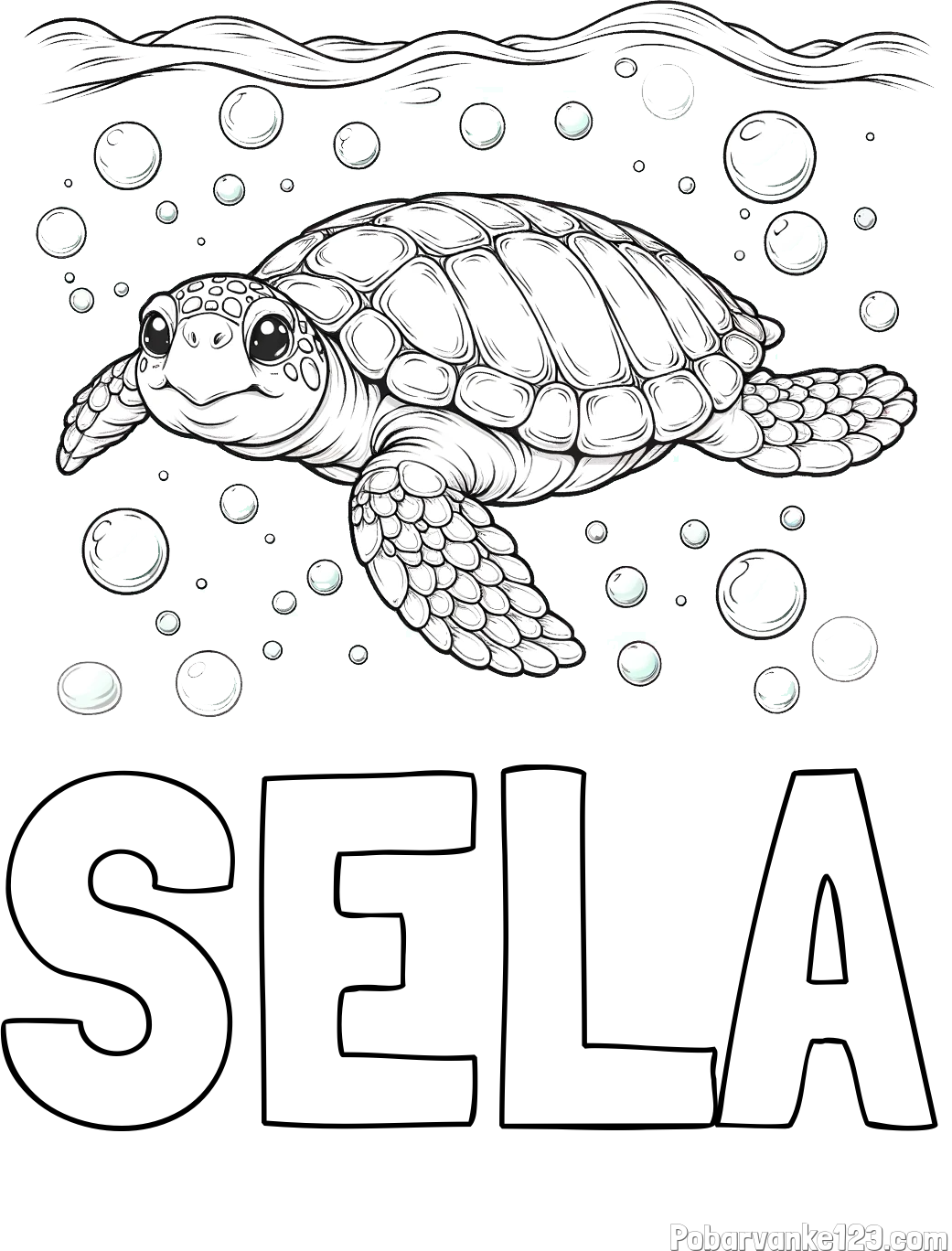 Pobarvanka imena ŠELA in pobarvanka želve v morju