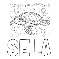 Online izdelana pobarvanka - Pobarvanka imena ŠELA in pobarvanka želve v morju