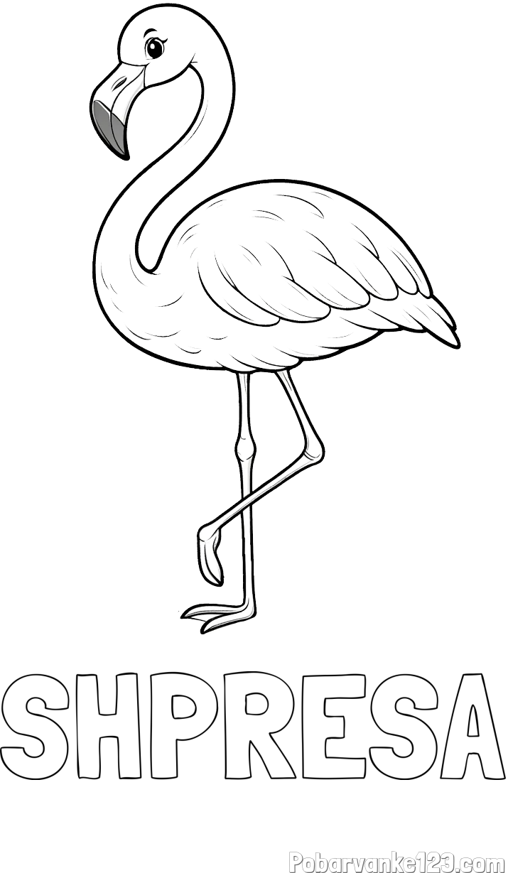 Pobarvanka imena SHPRESA in pobarvanka flaminga