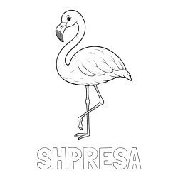 Online izdelana pobarvanka - Pobarvanka imena SHPRESA in pobarvanka flaminga