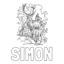 Online izdelana pobarvanka - Pobarvanka imena SIMON in pobarvanka jelena, srne ter mladička