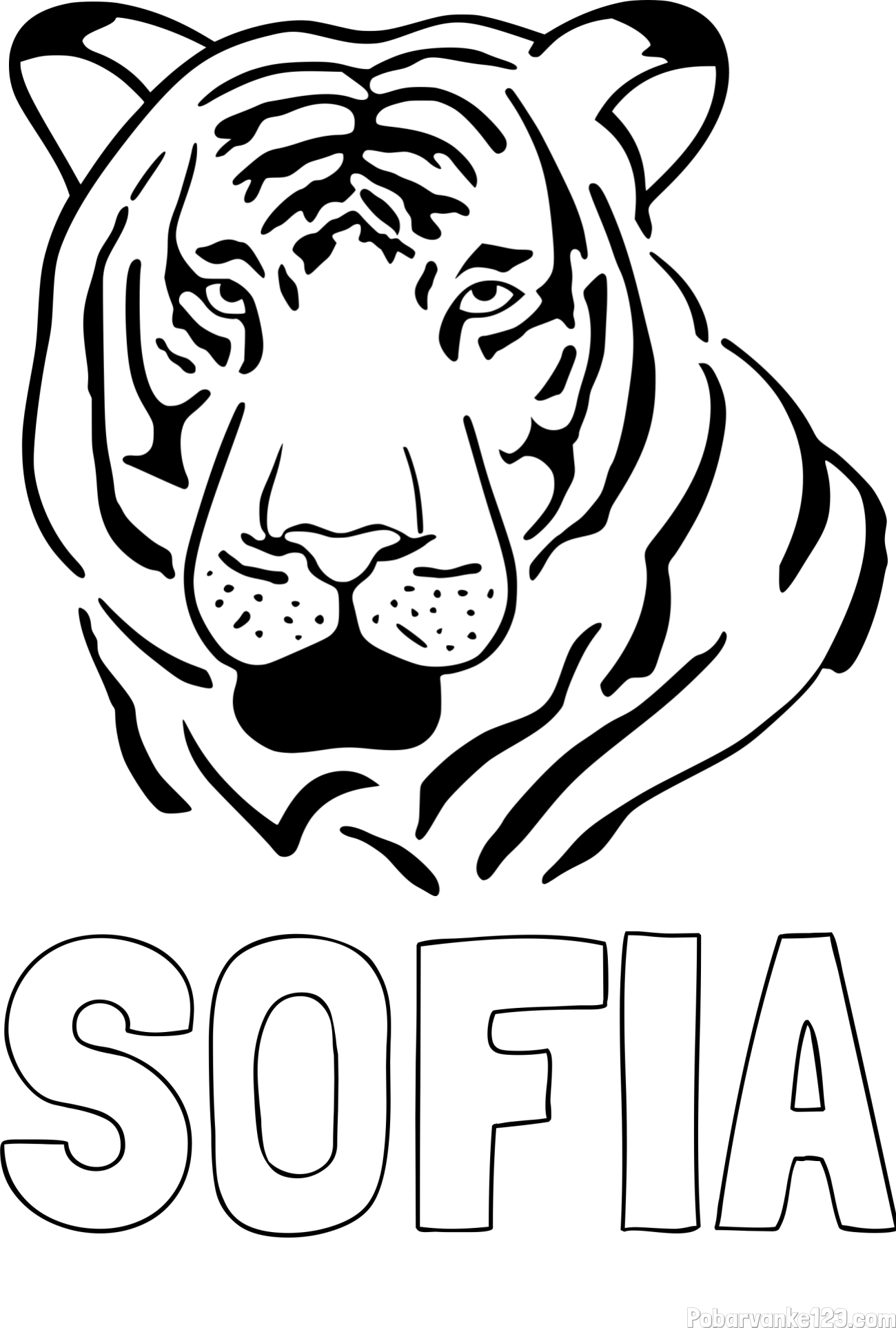 Pobarvanka imena SOFIA in pobarvanka glave odraslega tigra
