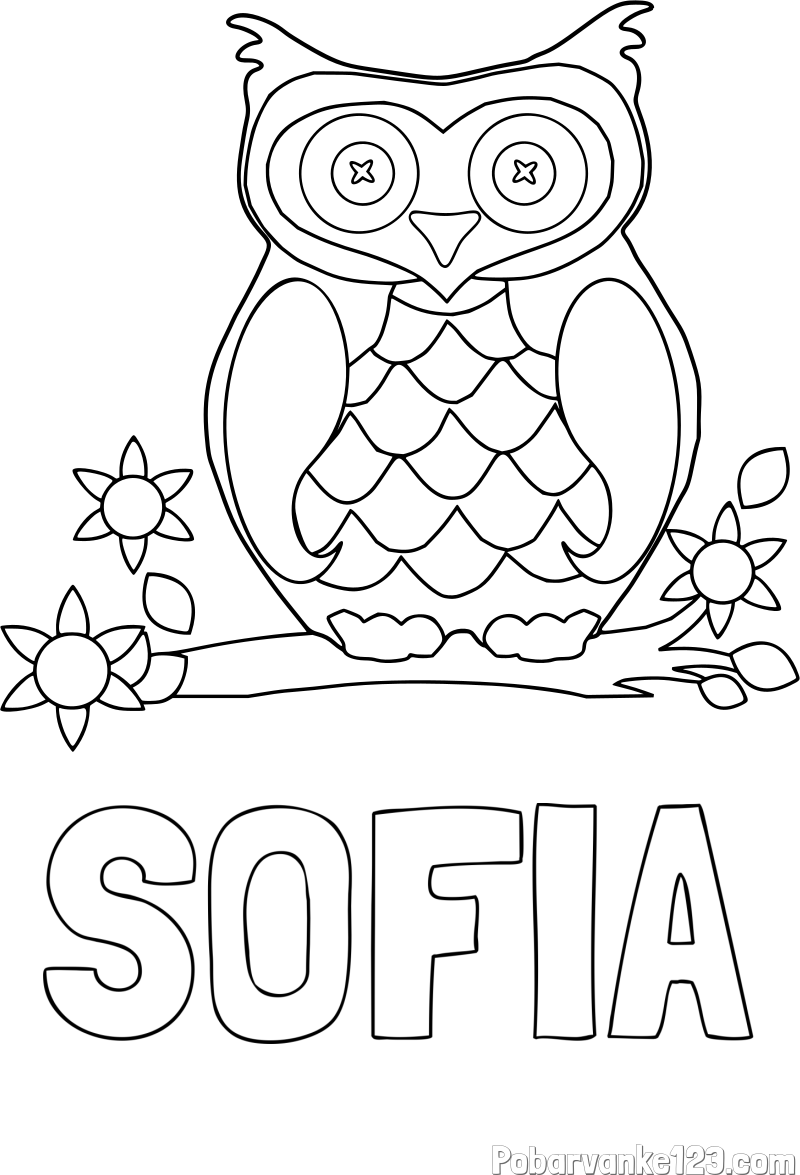 Pobarvanka imena SOFIA in pobarvanka sove