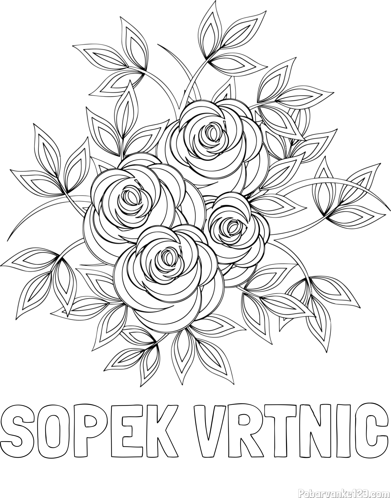 Pobarvanka imena ŠOPEK VRTNIC in pobarvanka šopka vrtnic