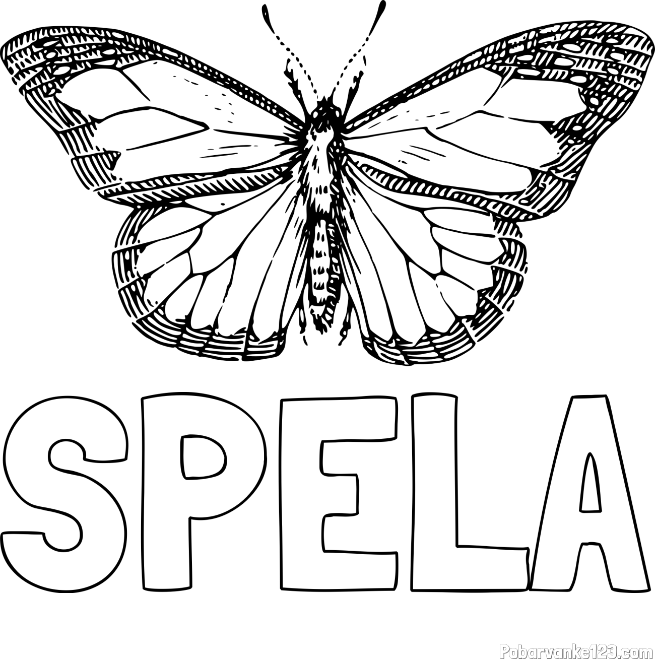 Pobarvanka imena ŠPELA in pobarvanka metulja