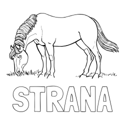 Online izdelana pobarvanka - Pobarvanka imena STRANA in pobarvanka konja med pašo