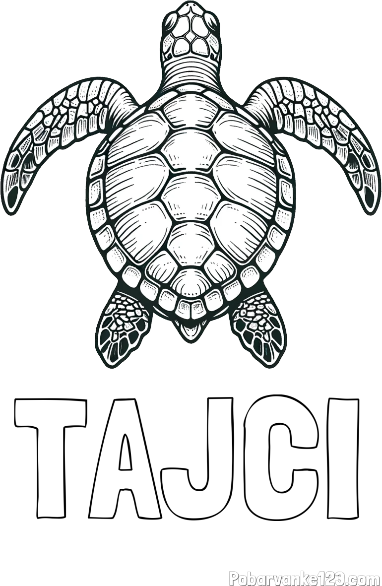 Pobarvanka imena TAJČI in enostavna pobarvanka želve