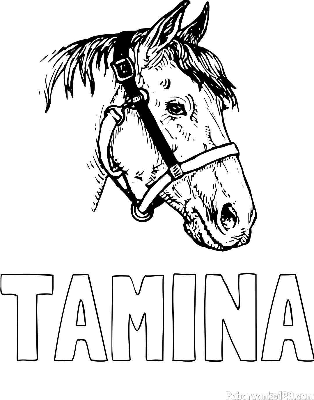 Pobarvanka imena TAMINA in konjska glava