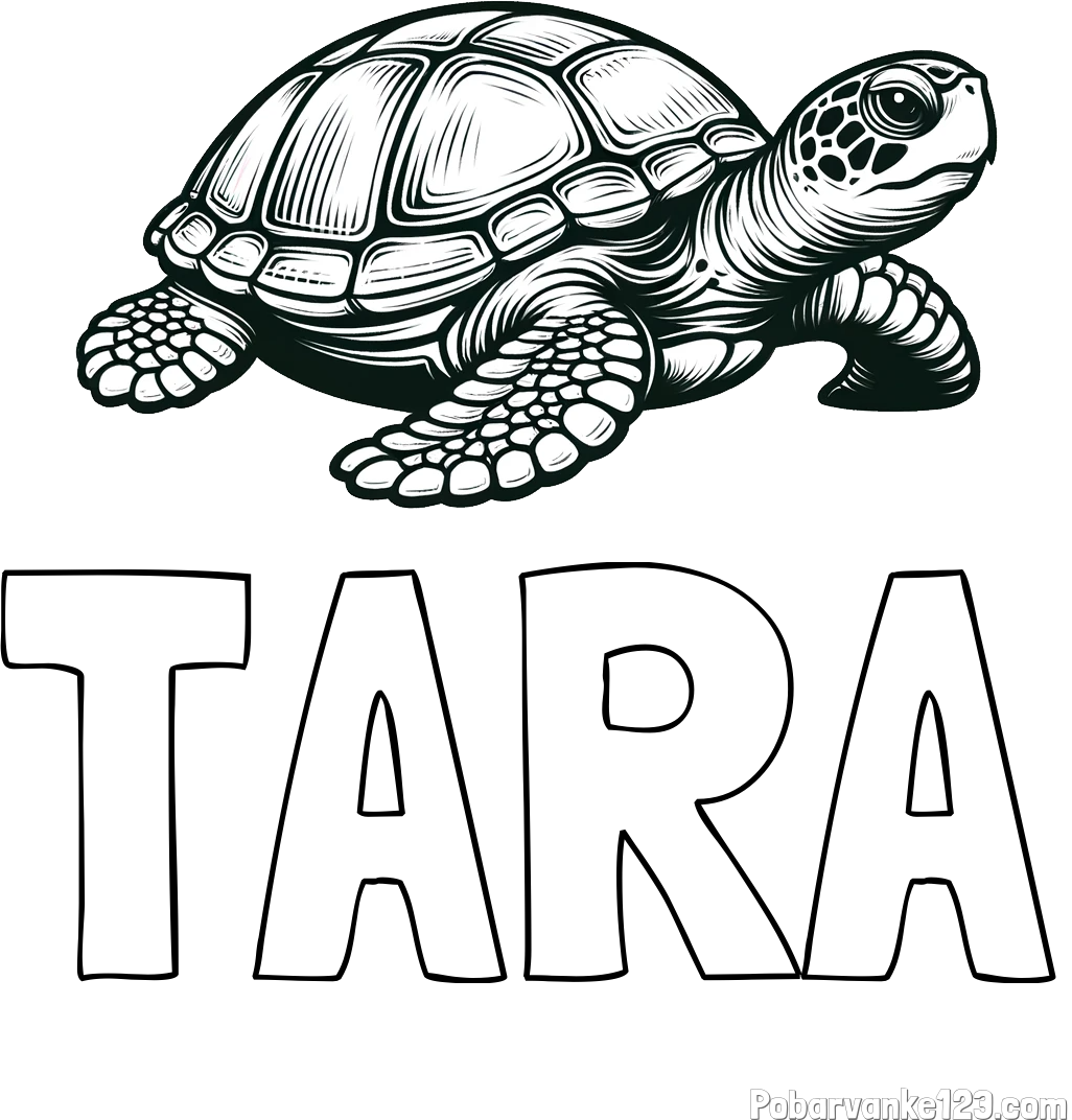 Pobarvanka imena TARA in pobarvanka velike želve