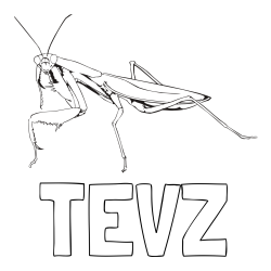 Online izdelana pobarvanka - Pobarvanka imena TEVŽ in pobarvanka bogomolke