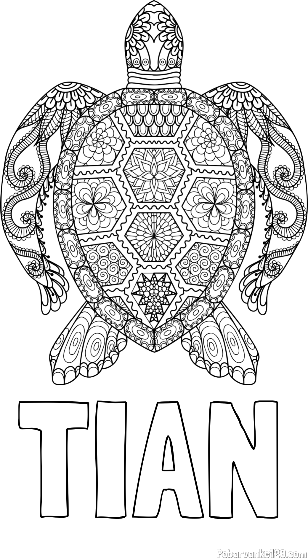 Pobarvanka imena TIAN in pobarvanka želve - mandale