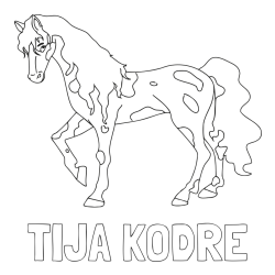 Online izdelana pobarvanka - Pobarvanka imena TIJA KODRE in pobarvanka lisastega konja