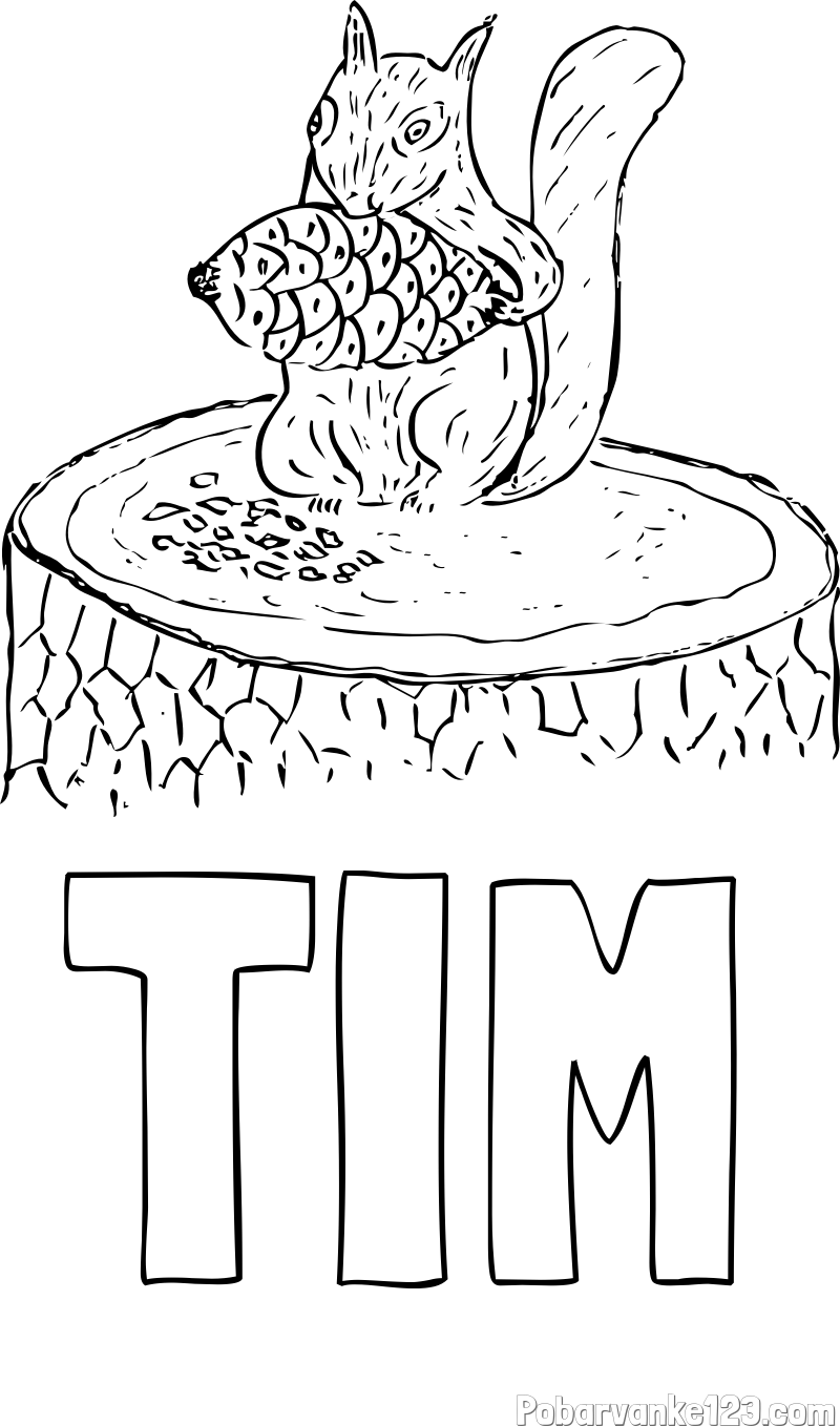 Pobarvanka imena TIM in pobarvanka veverice, ki je storž
