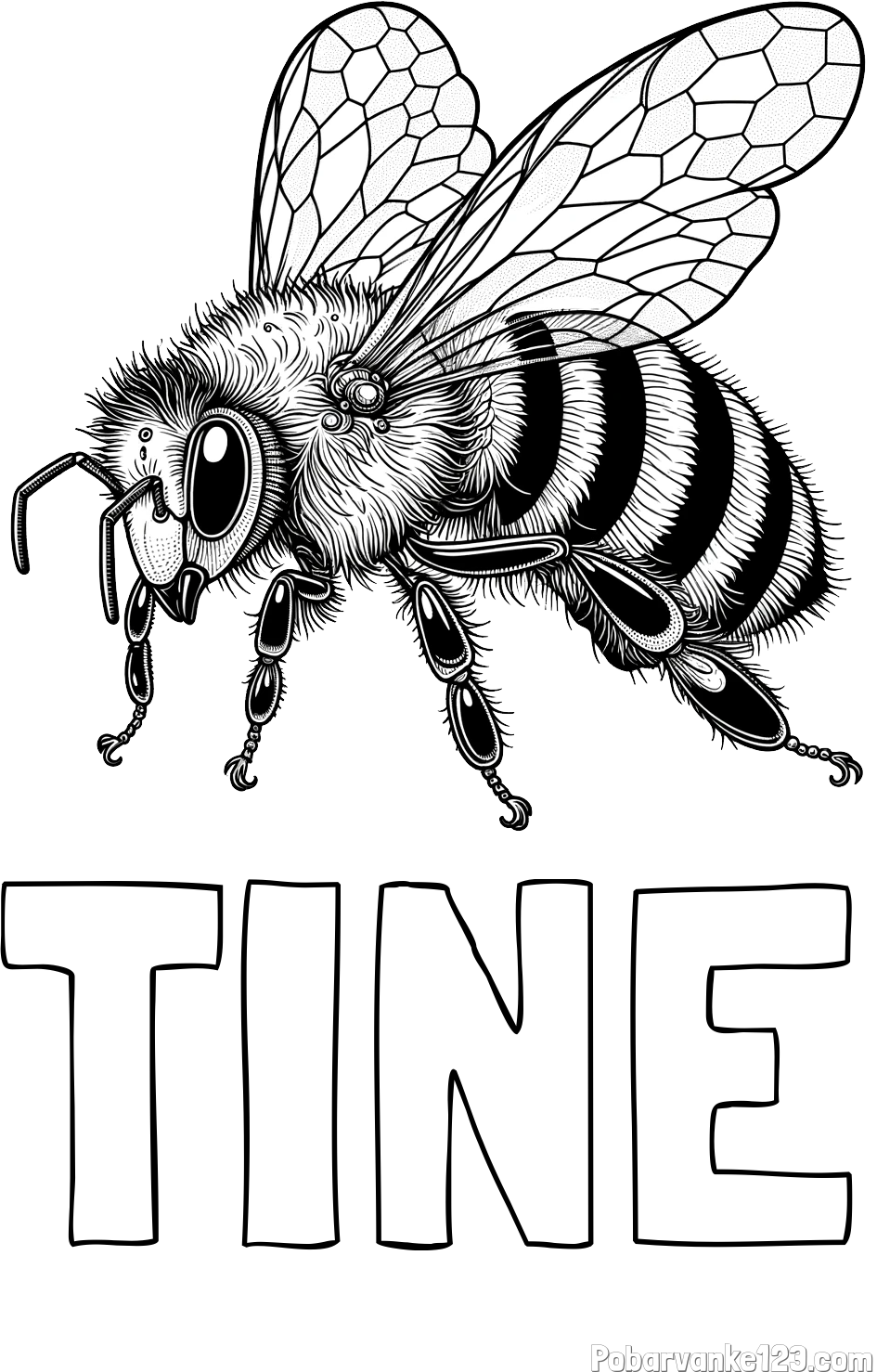 Pobarvanka imena TINE in pobarvanka lepe in realistično oblikovane čebele