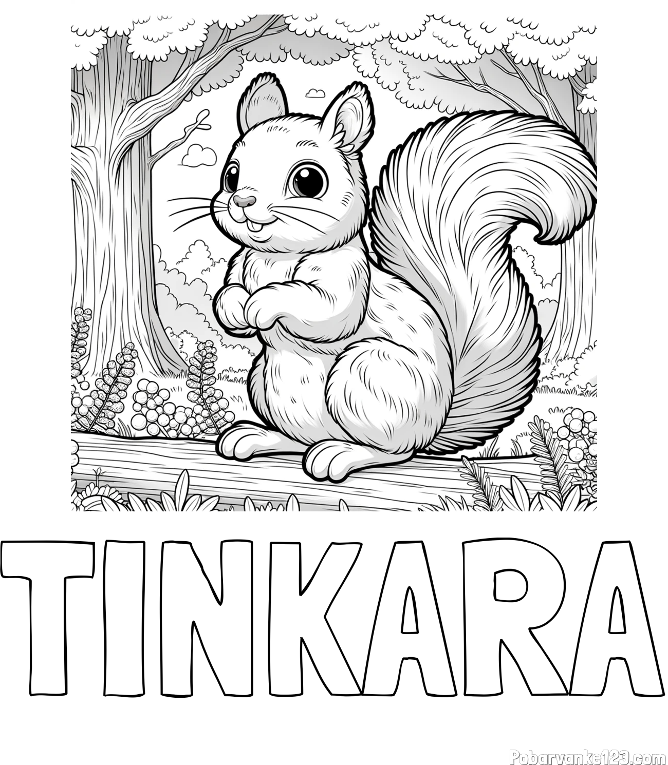 Pobarvanka imena TINKARA in pobarvanka veverice v gozdu