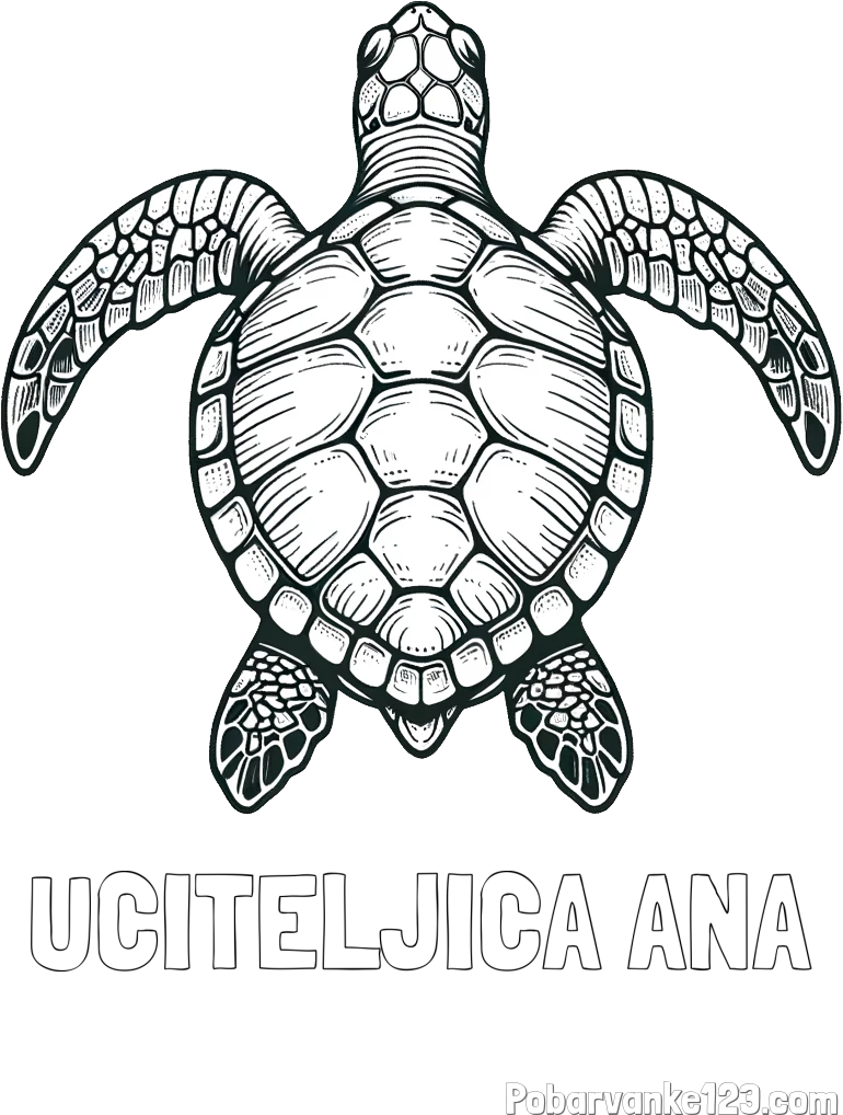 Pobarvanka imena UČITELJICA ANA in enostavna pobarvanka želve