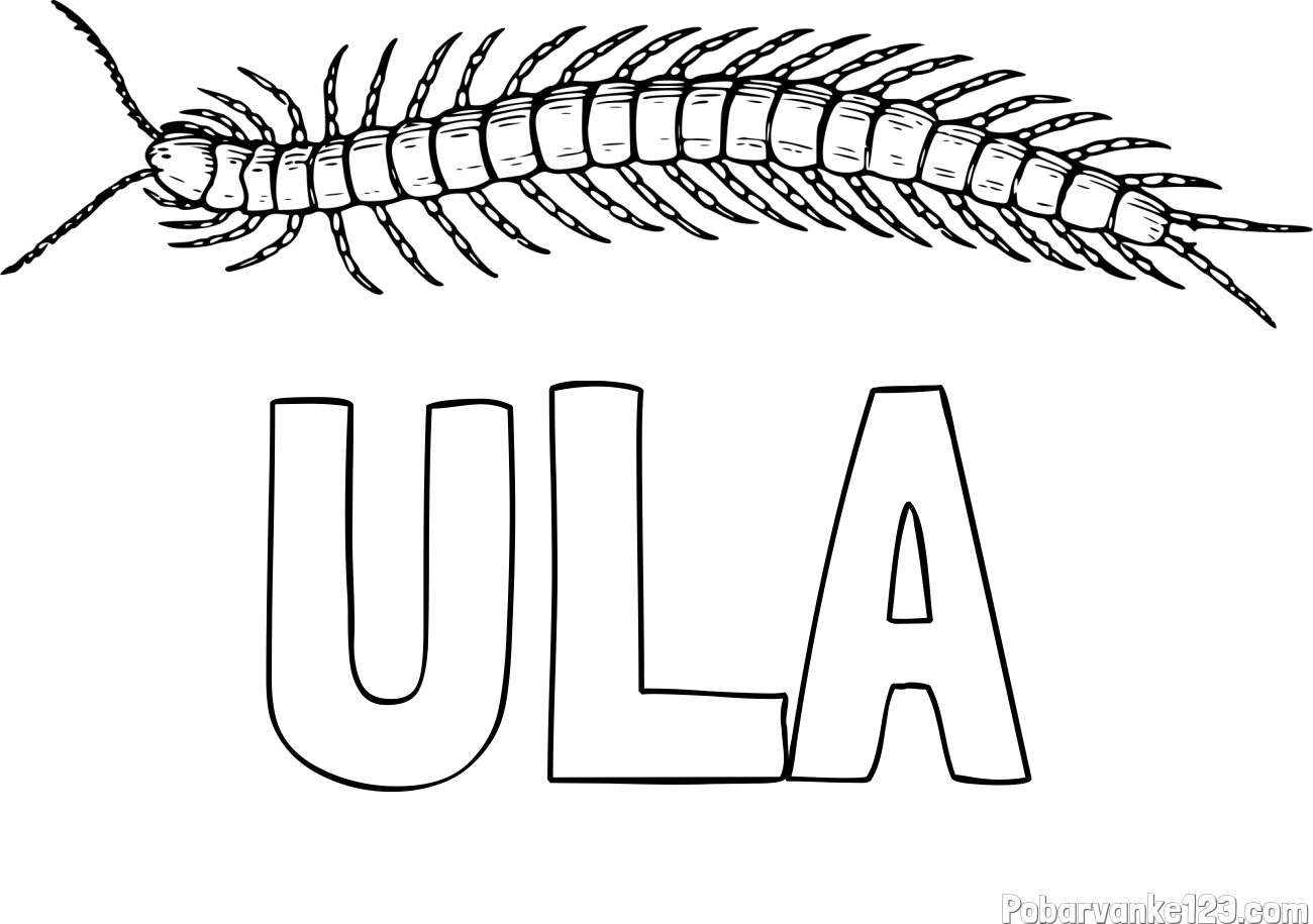 Pobarvanka imena ULA in pobarvanka stonoge