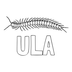 Online izdelana pobarvanka - Pobarvanka imena ULA in pobarvanka stonoge