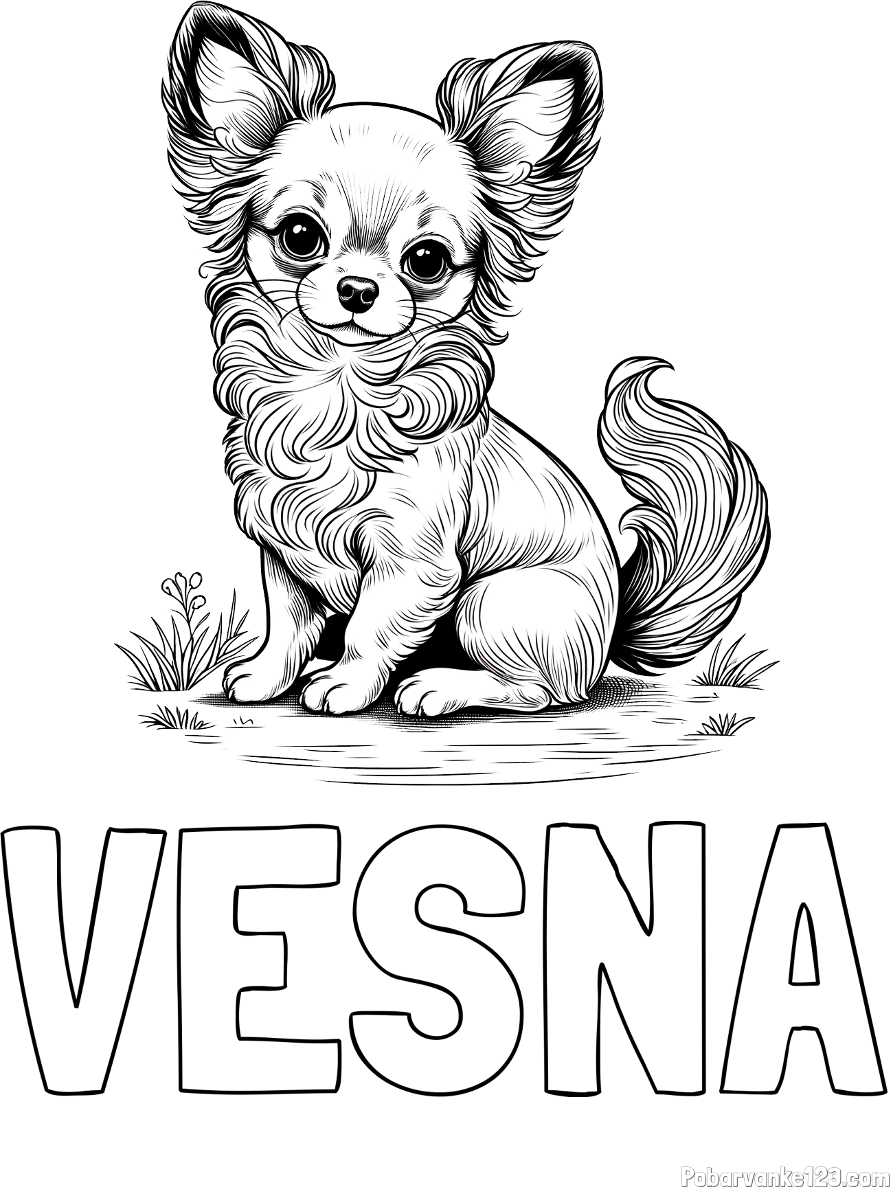 Pobarvanka imena VESNA in pobarvanka ljubke čivave