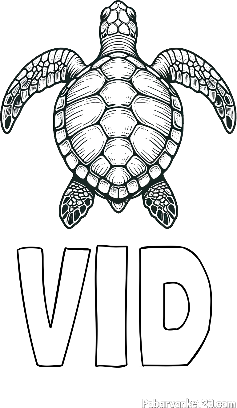 Pobarvanka imena VID in enostavna pobarvanka želve