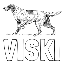 Online izdelana pobarvanka - Pobarvanka imena VISKI in pobarvanka lovskega psa na lovu