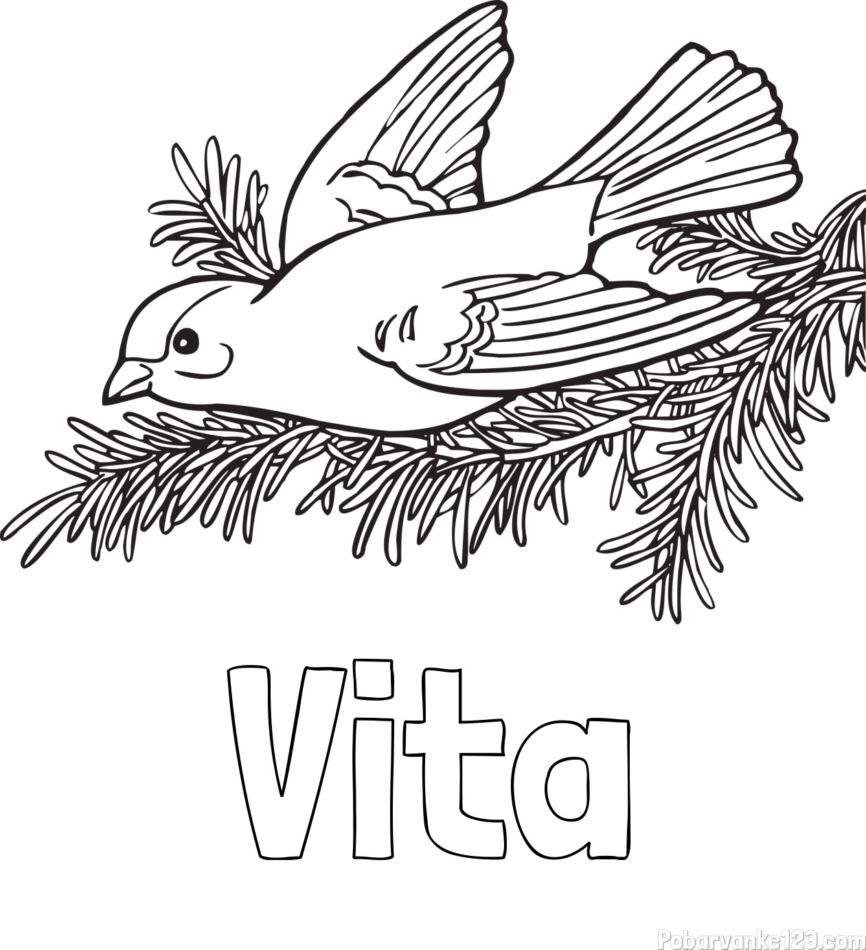 Pobarvanka imena Vita
