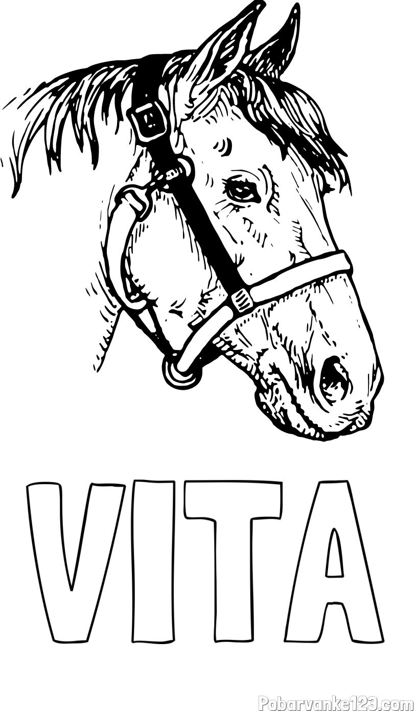 Pobarvanka imena VITA in konjska glava