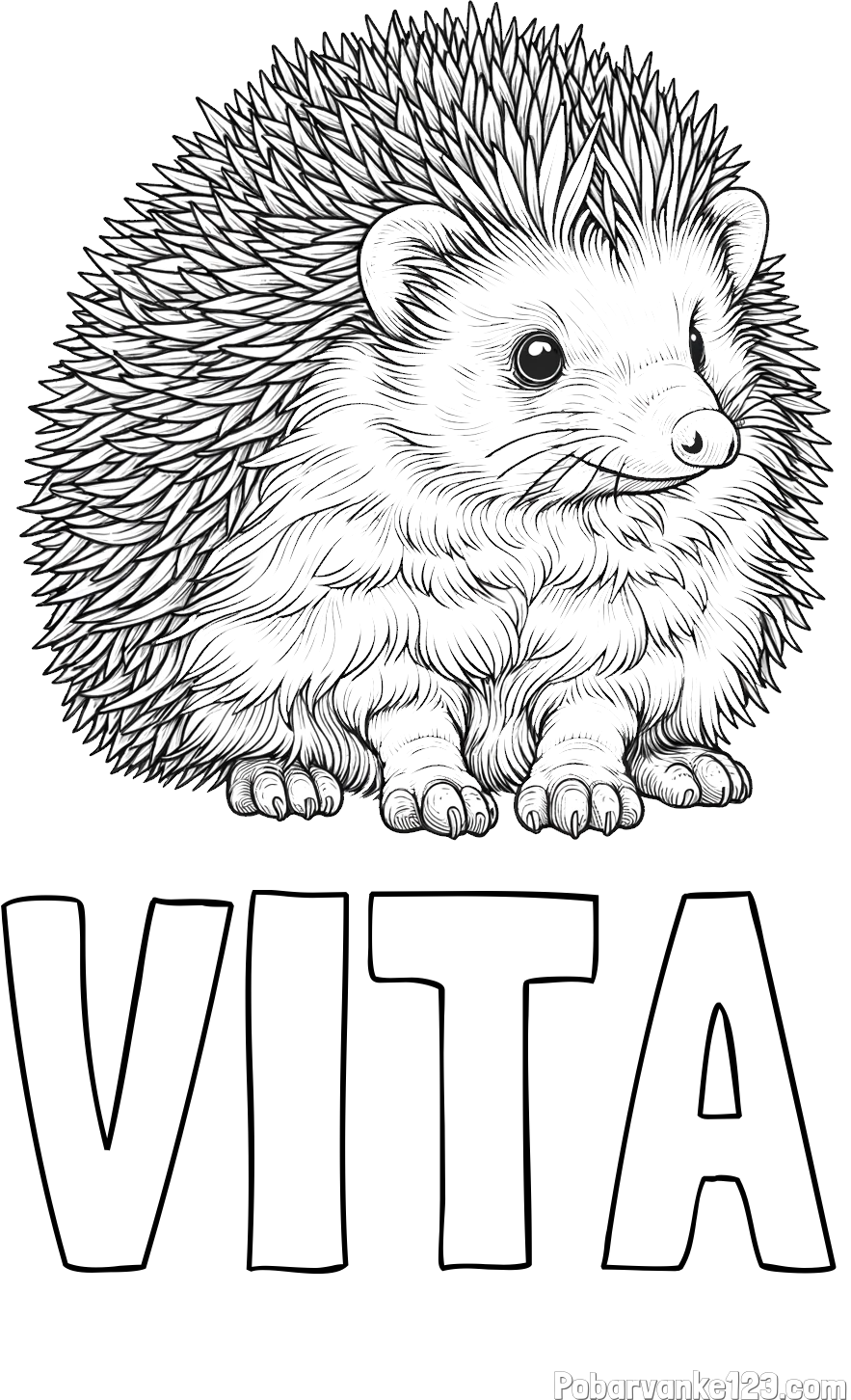 Pobarvanka imena VITA in pobarvanka nasmejanega ježa