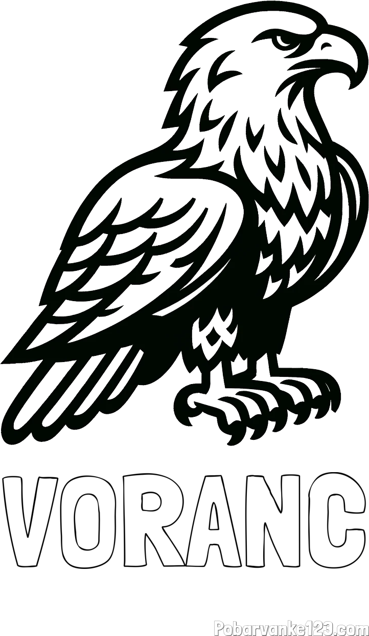 Pobarvanka imena VORANC in pobarvanka  majhnega orla