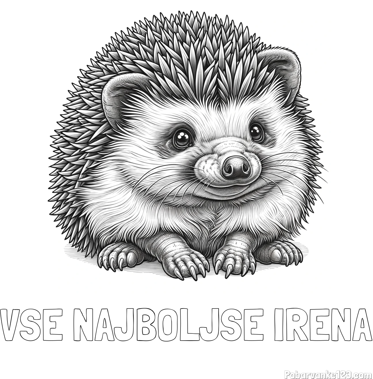 Pobarvanka imena VSE NAJBOLJŠE IRENA in pobarvanka ježa