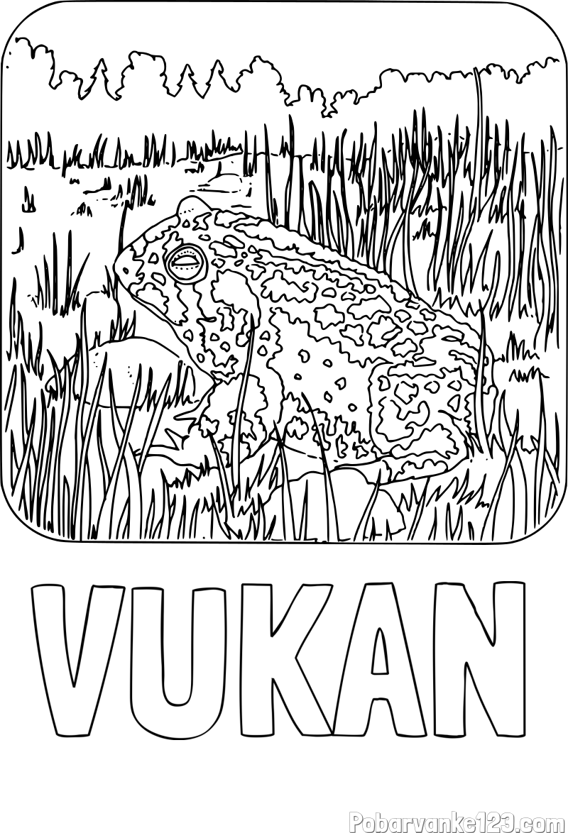 Pobarvanka imena VUKAN in pobarvanka žabe