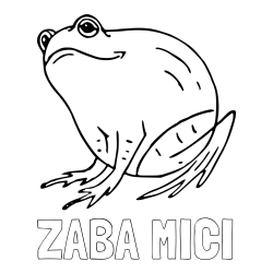 Online izdelana pobarvanka - Pobarvanka imena ŽABA MICI in pobarvanka debele žabe