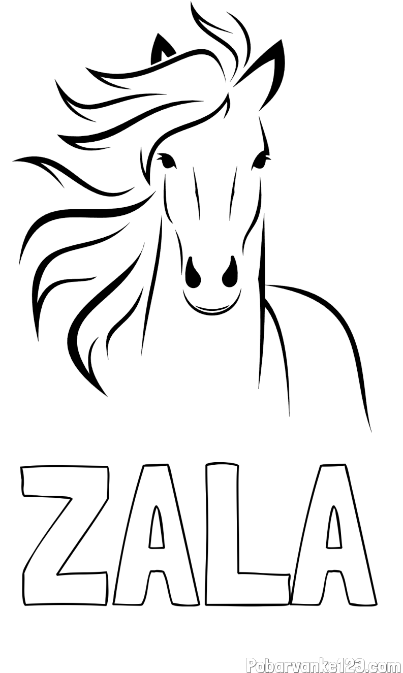 Pobarvanka imena ZALA in lepa pobarvanka konja