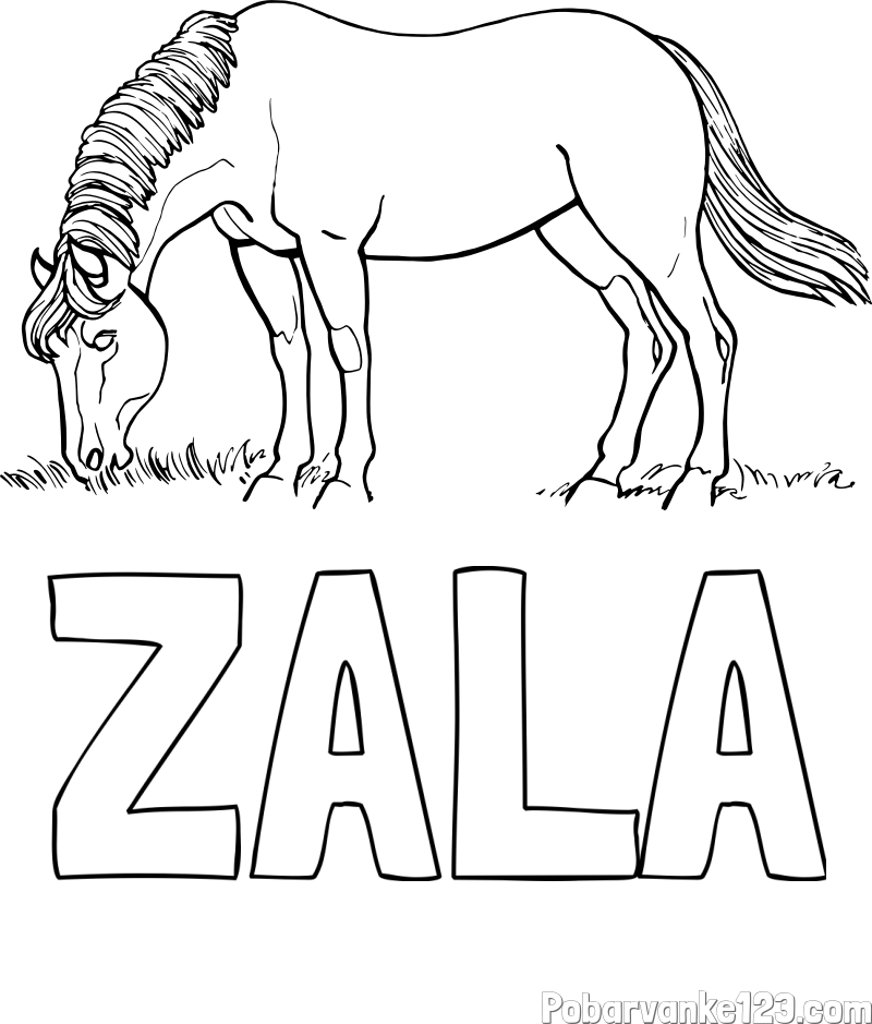 Pobarvanka imena ZALA in pobarvanka konja med pašo