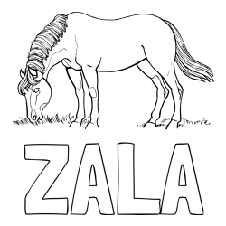 Pobarvanka imena ZALA in pobarvanka konja med pašo