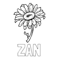 Online izdelana pobarvanka - Pobarvanka imena ZAN in pobarvanka lepe sončnice