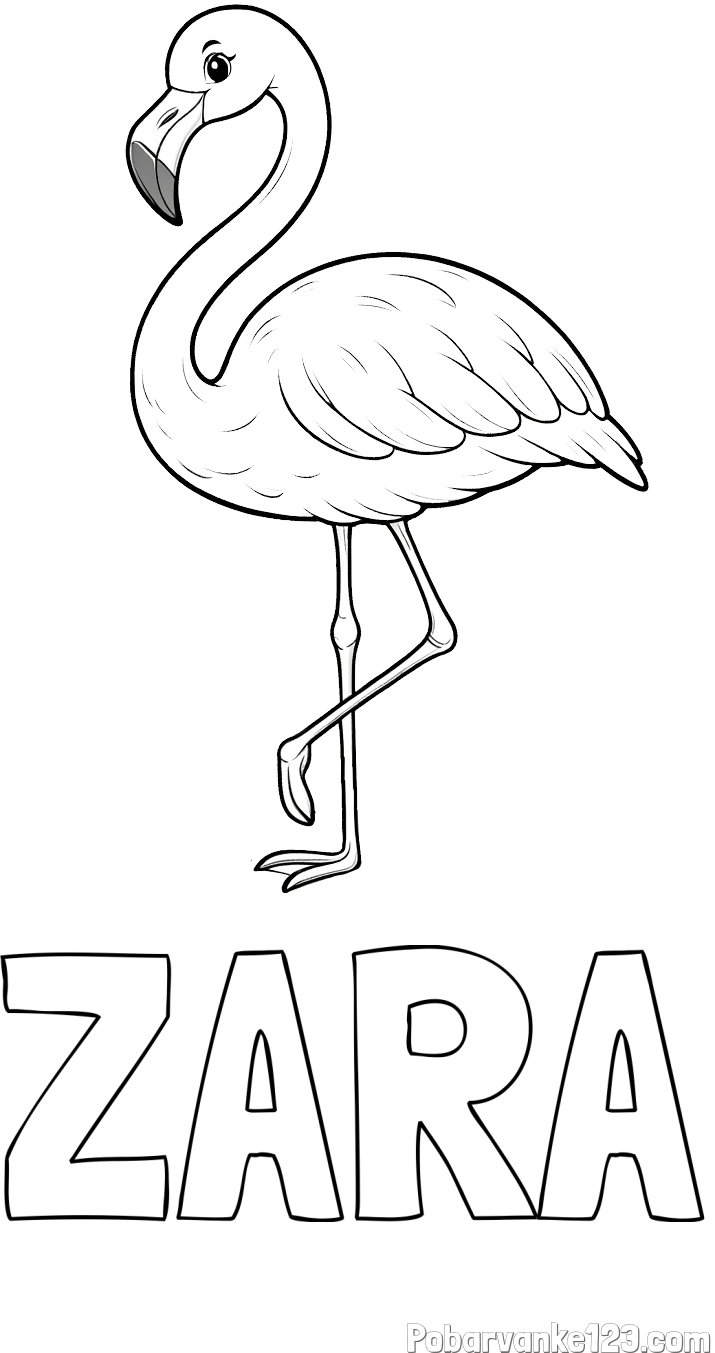 Pobarvanka imena ZARA in pobarvanka flaminga
